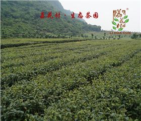 荔花村-英德红茶